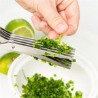 Compact stainless steel spice scissors for kitchen use