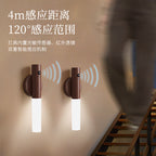 Walnut wood tone motion sensor light on a wall